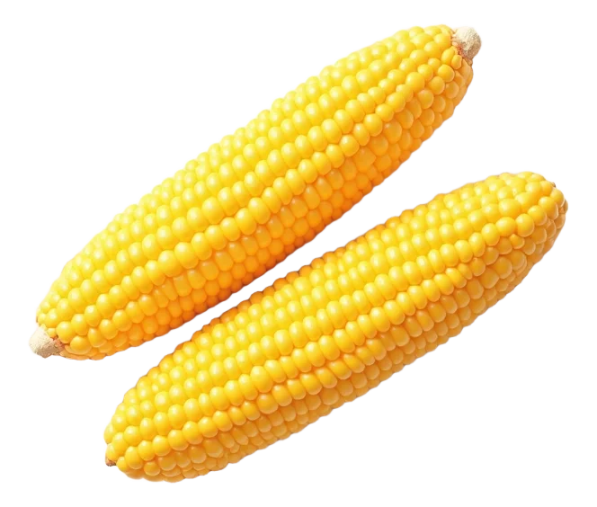 2 Corn Cobettes (Large)