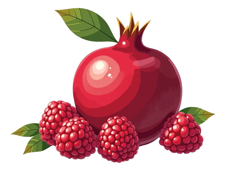 Cranberry, Raspberry & Pomegranate Pret Still