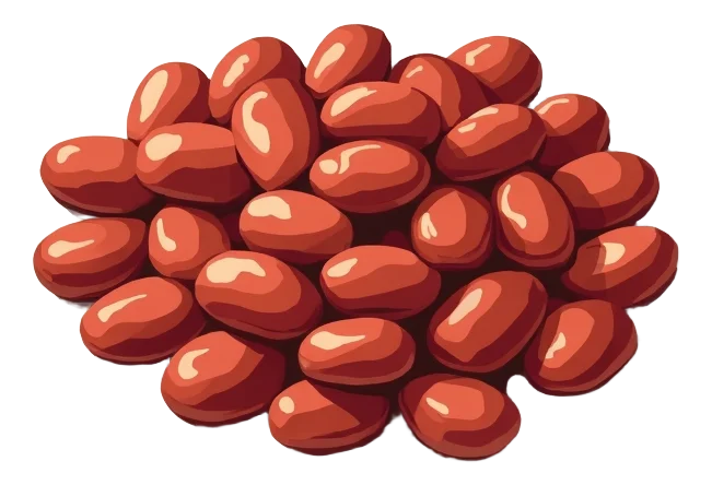 Regular BBQ Beans