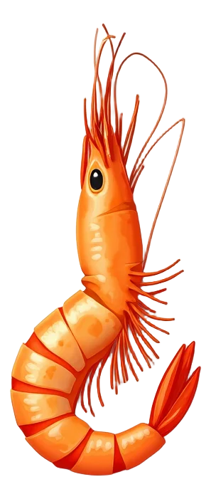 Prawn Firecracker