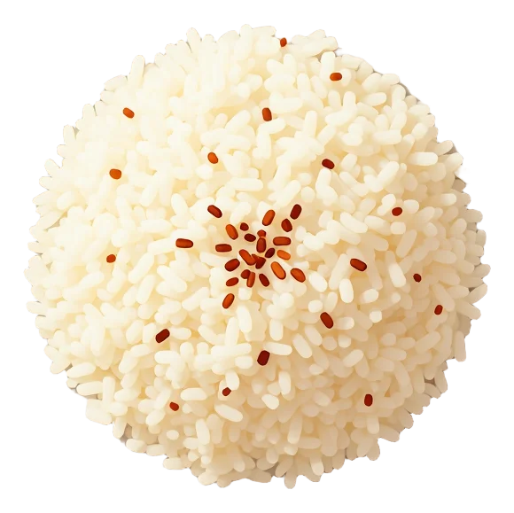 Seasoned Rice