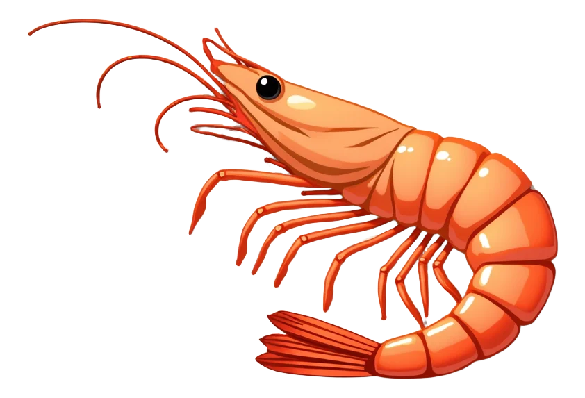 Side Shrimp