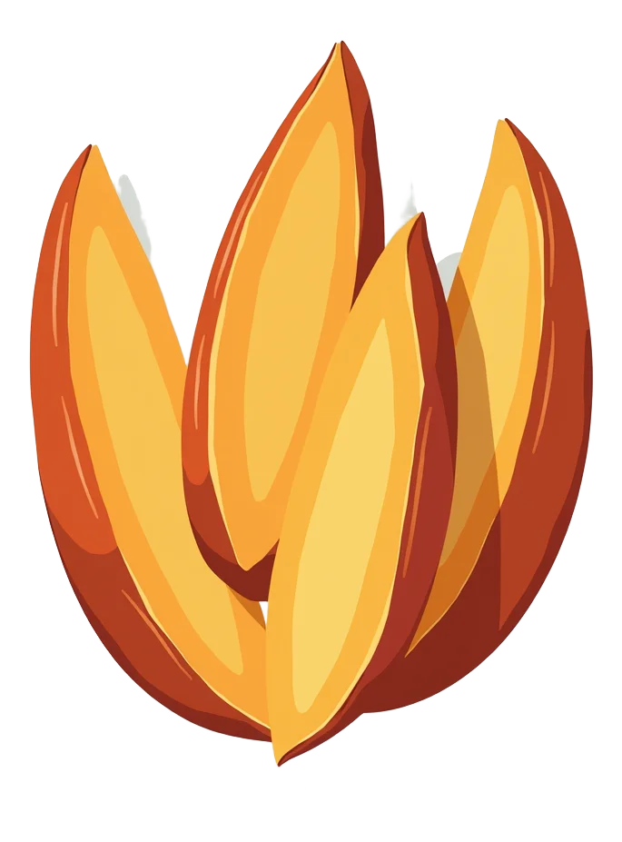 Sweet Potato Wedges