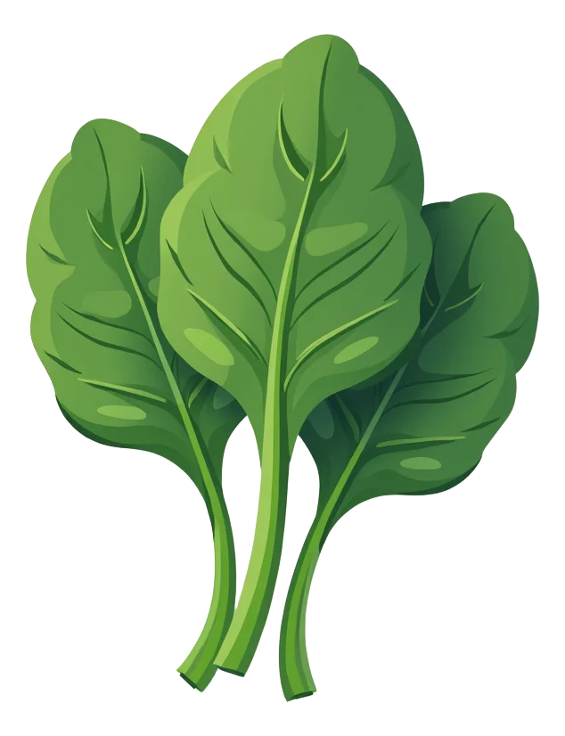 Spinach