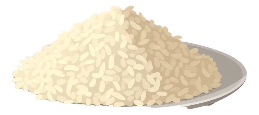 Rice