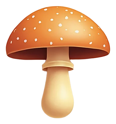 Funghi di Bosco (Romana)