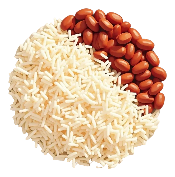 Rice & Beans Plate