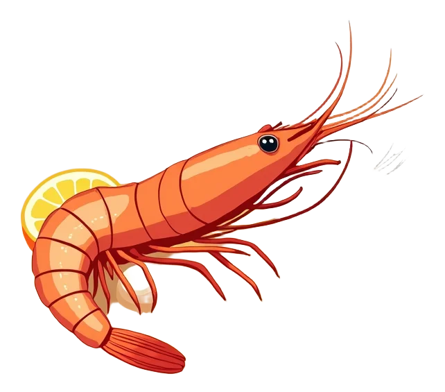 Baja Shrimp