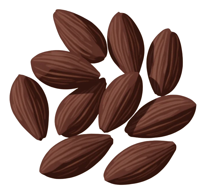Dark Chocolate Salted Almonds