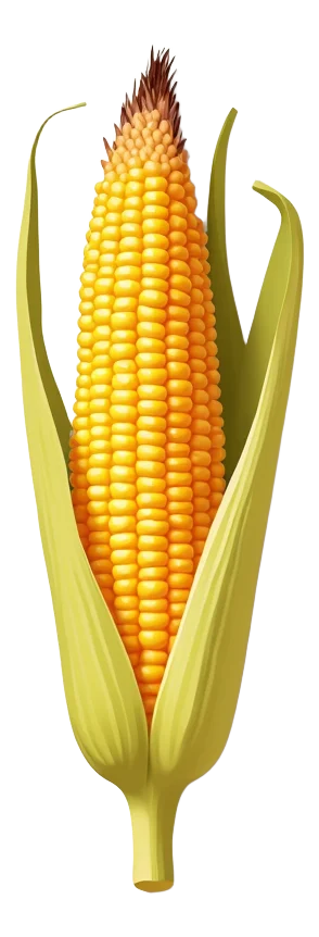 Charred Corn