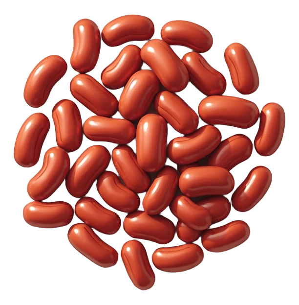 Large BBQ Beans