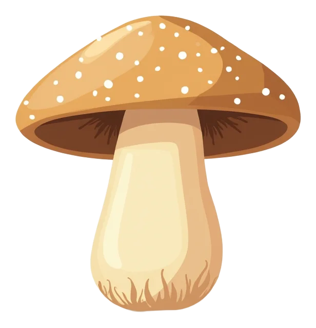 Funghi di Bosco GF (Romana)