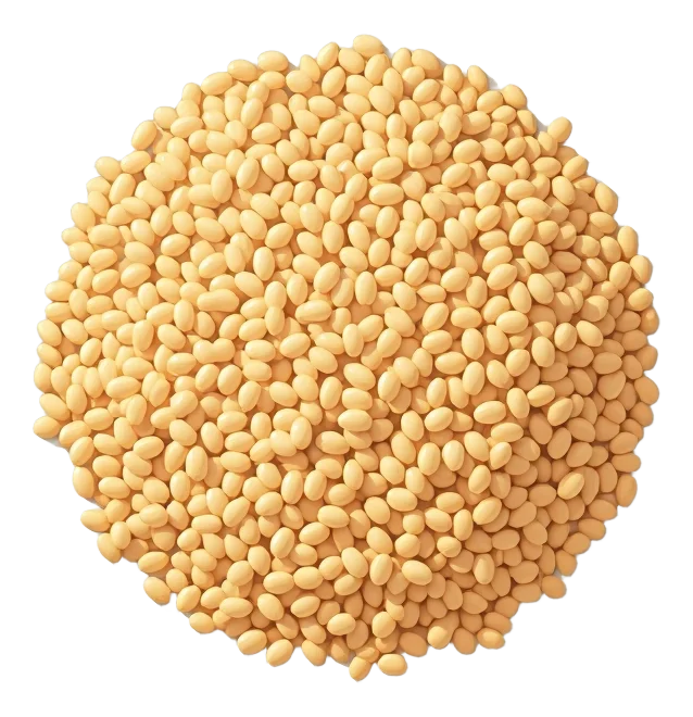 Hearty Grains