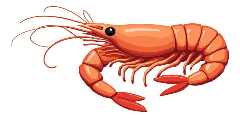 King Prawn