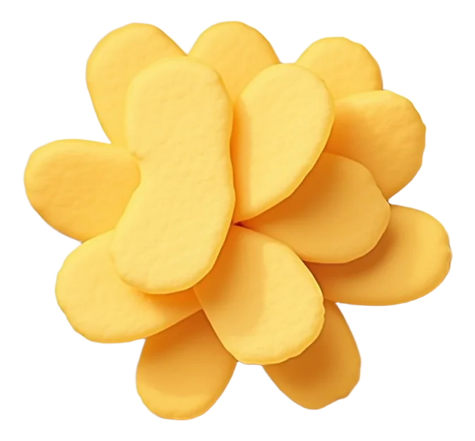 Chips